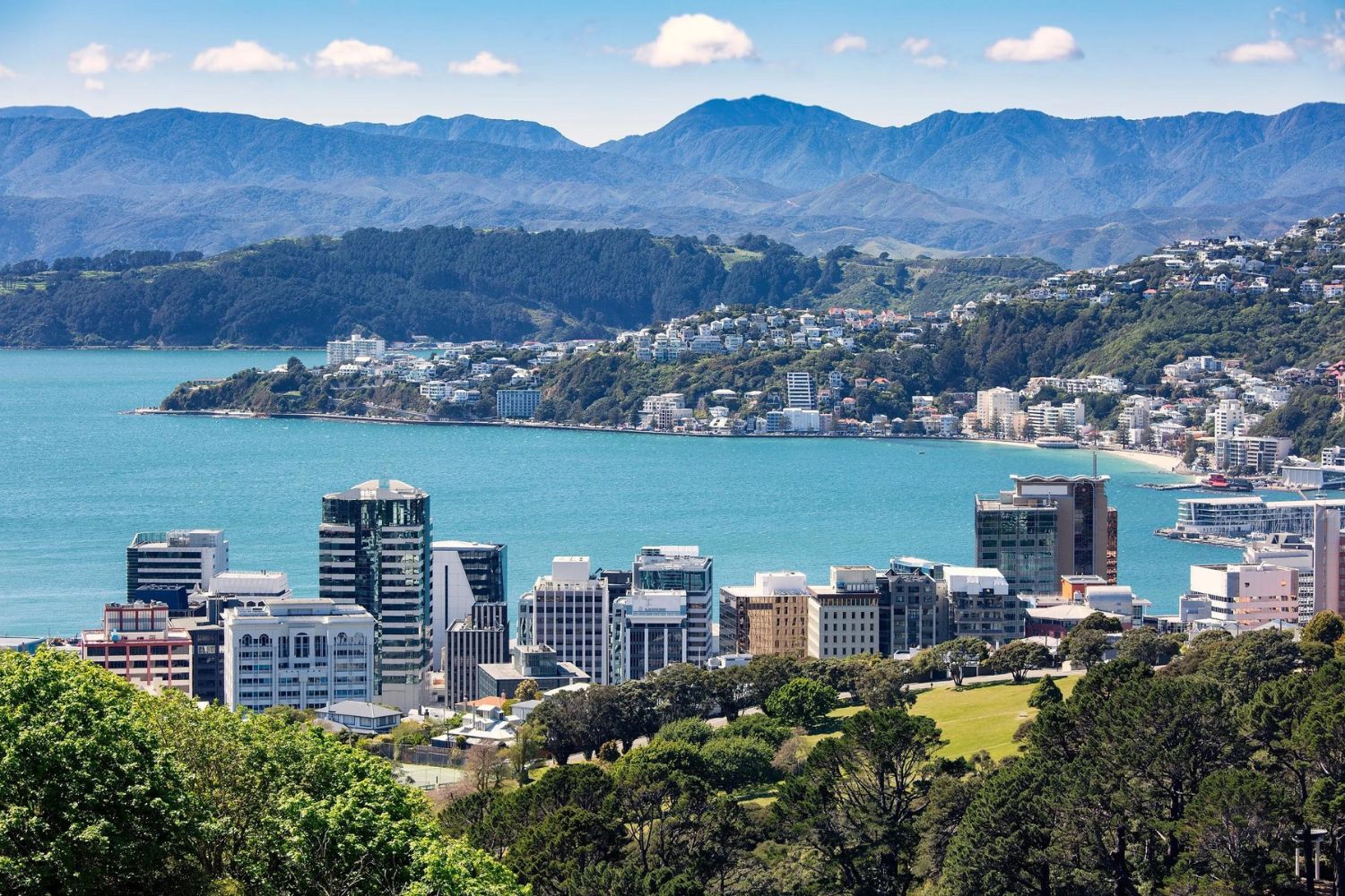 Discover Wellington: Top Places to Visit