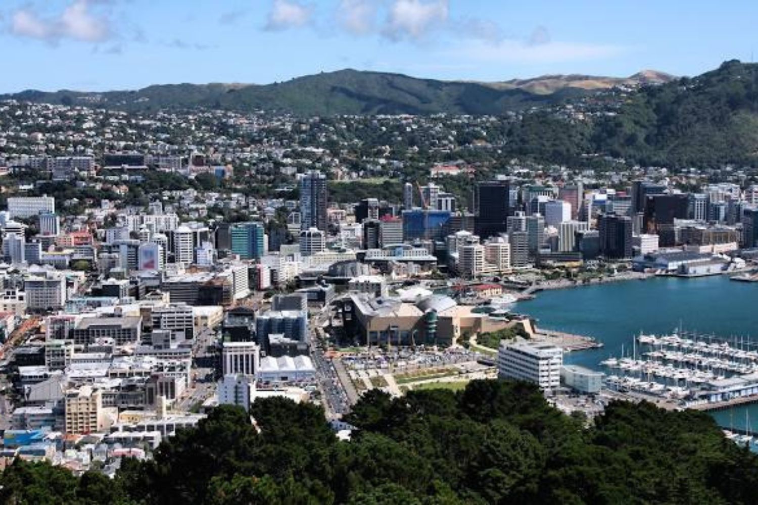 Best Things to Do in Wellington: Your Ultimate Guide