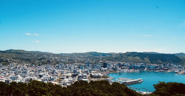 Wellington CBD and harbour seen from Mount Victoria, with the waterfront marina and green hills under a clear blue sky